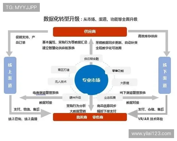 杭州足球队转型之路的挑战与机遇全景解析