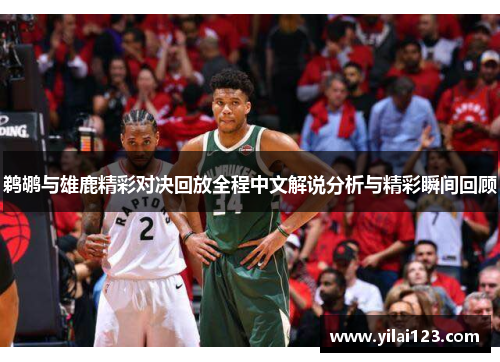 鹈鹕与雄鹿精彩对决回放全程中文解说分析与精彩瞬间回顾