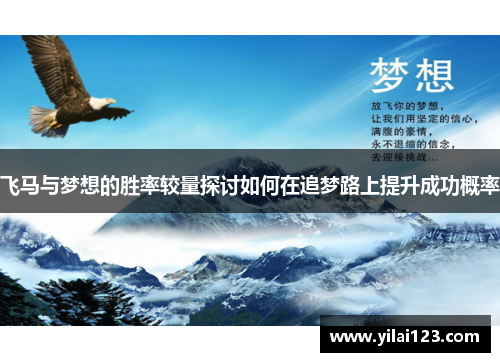 飞马与梦想的胜率较量探讨如何在追梦路上提升成功概率